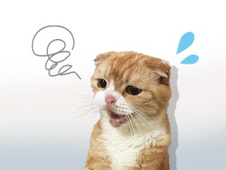 こんなことでお困りではないですか？